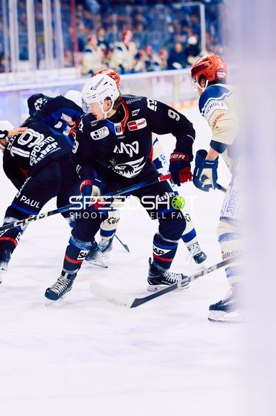 Adler Mannheim vs Schwenninger Wild Wings | 19.01.2024