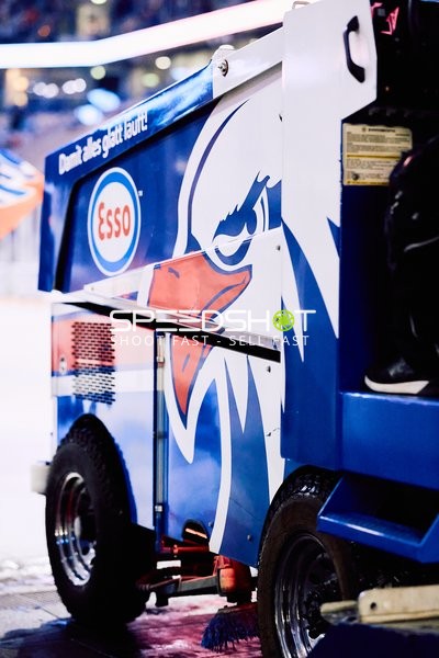 Adler Mannheim vs Schwenninger Wild Wings | 19.01.2024