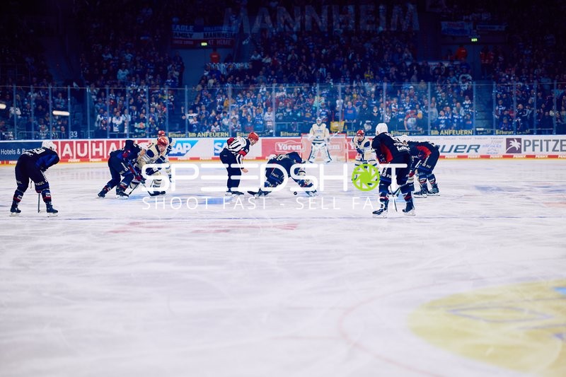 Adler Mannheim vs Schwenninger Wild Wings | 19.01.2024