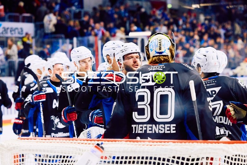 Adler Mannheim vs Schwenninger Wild Wings | 19.01.2024