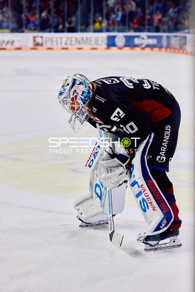 Adler Mannheim vs Schwenninger Wild Wings | 19.01.2024