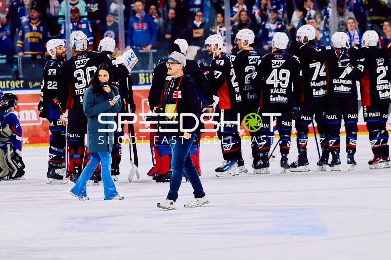 Adler Mannheim vs Schwenninger Wild Wings | 19.01.2024