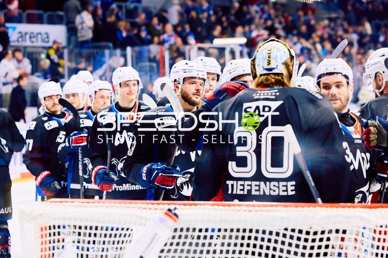 Adler Mannheim vs Schwenninger Wild Wings | 19.01.2024