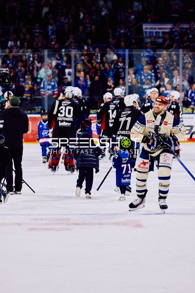 Adler Mannheim vs Schwenninger Wild Wings | 19.01.2024