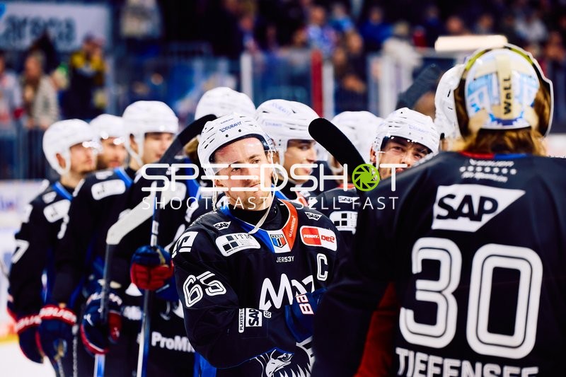 Adler Mannheim vs Schwenninger Wild Wings | 19.01.2024