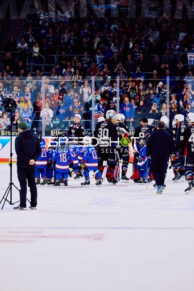 Adler Mannheim vs Schwenninger Wild Wings | 19.01.2024