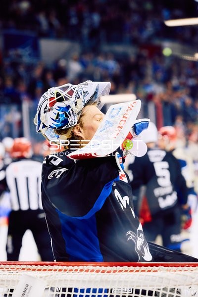 Adler Mannheim vs Schwenninger Wild Wings | 19.01.2024