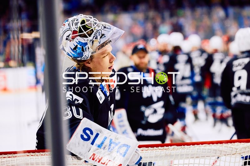 Adler Mannheim vs Schwenninger Wild Wings | 19.01.2024
