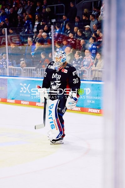Adler Mannheim vs Schwenninger Wild Wings | 19.01.2024
