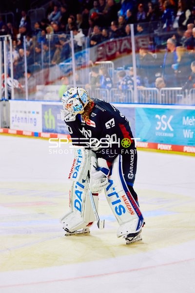 Adler Mannheim vs Schwenninger Wild Wings | 19.01.2024