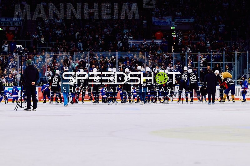 Adler Mannheim vs Schwenninger Wild Wings | 19.01.2024