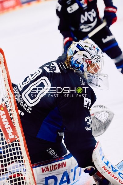 Adler Mannheim vs Schwenninger Wild Wings | 19.01.2024