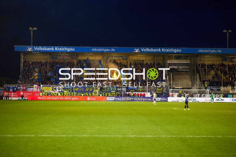 SV Sandhausen vs 1. FC Saarbrücken | 26.01.2025 | Fußball 3. Bundesliga