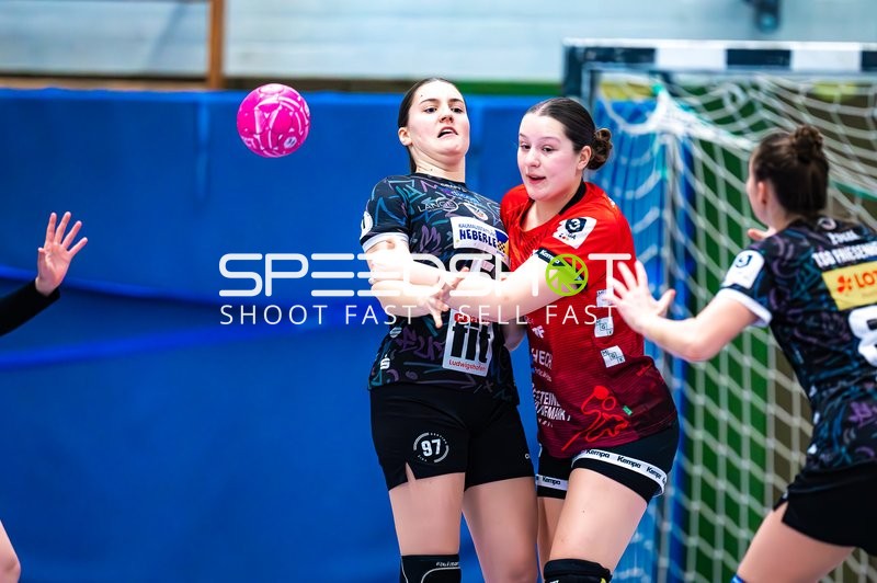 Handball I Frauen I Saison 2024-2025 I 3. Liga I SG Schozach-Bottwartal - TSG Friesenheim I 28.01.2025