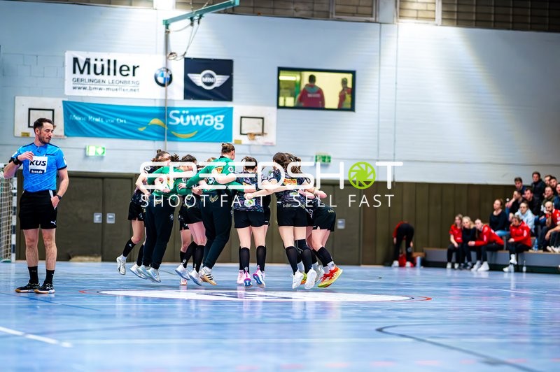 Handball I Frauen I Saison 2024-2025 I 3. Liga I SG Schozach-Bottwartal - TSG Friesenheim I 28.01.2025