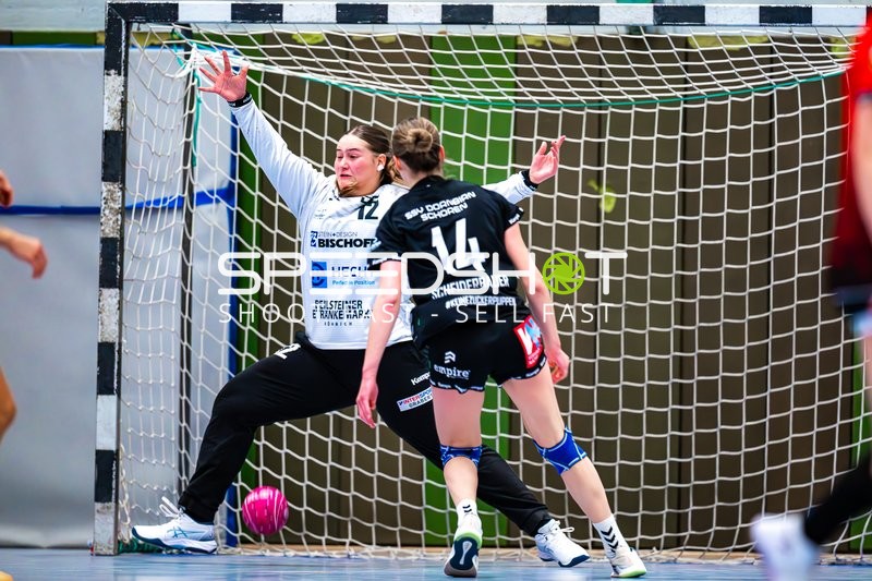 Handball I Frauen I Saison 2024-2025 I Testspiel I SG Schozach-Bottwartal - SSV Dornbirn Schoren I 04.01.2024