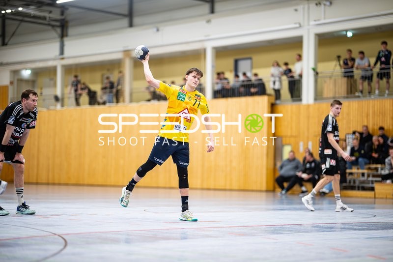 Handball I Herren I Saison 2024-2025 I Testspiel I Rhein-Neckar Löwen - HC Erlangen I 29.01.2025