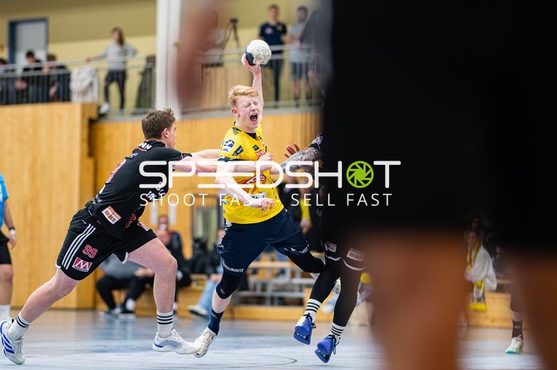 Handball I Herren I Saison 2024-2025 I Testspiel I Rhein-Neckar Löwen - HC Erlangen I 29.01.2025