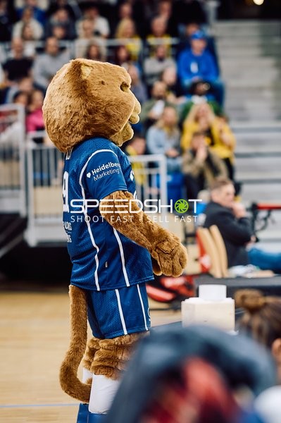 MLP Academic vs MHP RIESEN Ludwigsburg - SNP Dome - Heidelberg - 08.02.2025 | 19:00 Uhr