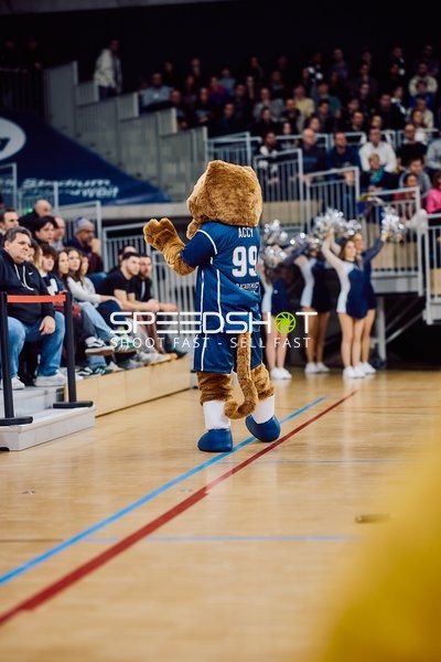 MLP Academic vs MHP RIESEN Ludwigsburg - SNP Dome - Heidelberg - 08.02.2025 | 19:00 Uhr