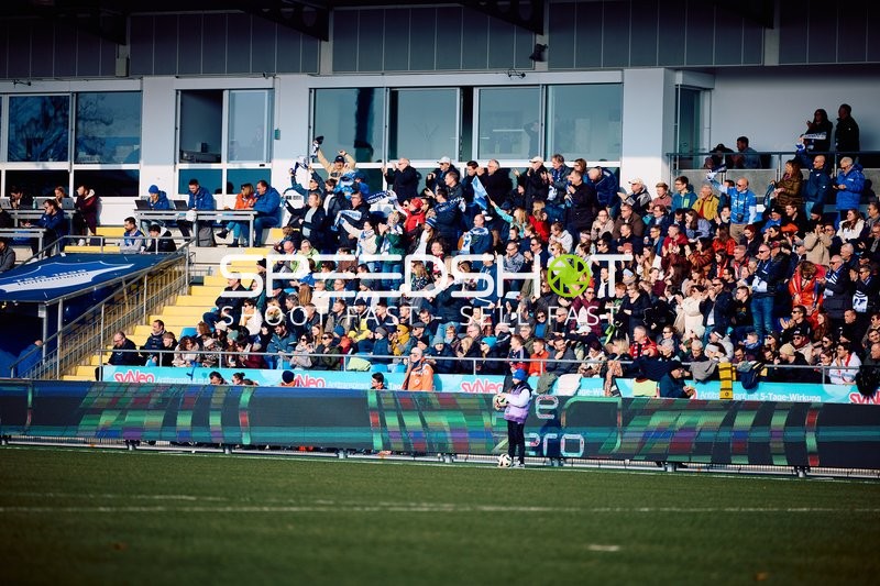 TSG Hoffenheim vs FC Bayern Frauen - 09.02.2025 -14:00 Uhr