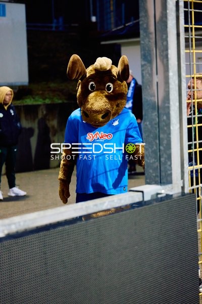 DFB Pokal TSG Hoffenheim Frauen vs Vfl Wolfsburg