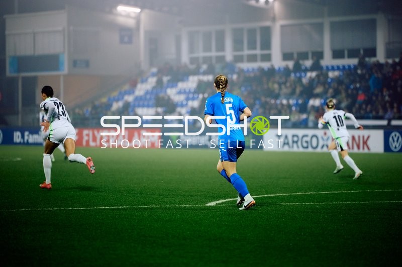DFB Pokal TSG Hoffenheim Frauen vs Vfl Wolfsburg