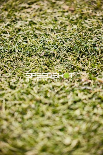 TSG Hoffenheim Frauen 1 vs. Bayer Leverkusen Frauen 1 – 09.02.2025 -14:00 Uhr