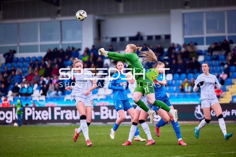TSG Hoffenheim Frauen 1 vs. Bayer Leverkusen Frauen 1 – 09.02.2025 -14:00 Uhr