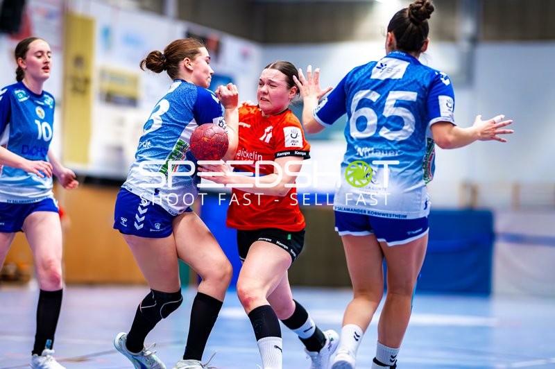 Handball I Jugend I Saison 2024-2025 I Regionalliga I 10. Spieltag I SG Schozach-Bottwartal - SV Salamander Kornwestheim 1894 I 17.02.2025