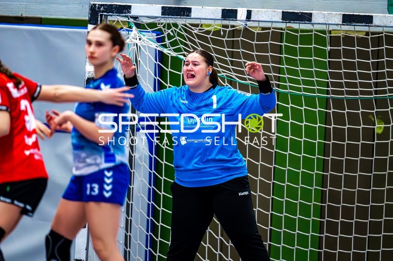 Handball I Jugend I Saison 2024-2025 I Regionalliga I 10. Spieltag I SG Schozach-Bottwartal - SV Salamander Kornwestheim 1894 I 17.02.2025