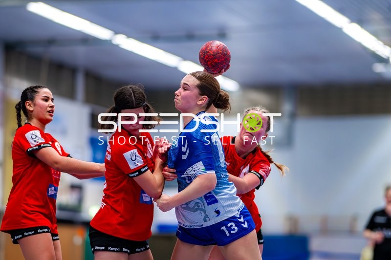 Handball I Jugend I Saison 2024-2025 I Regionalliga I 10. Spieltag I SG Schozach-Bottwartal - SV Salamander Kornwestheim 1894 I 17.02.2025