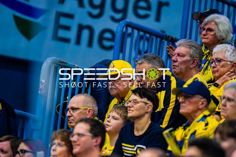 Fans beobachten das Spiel