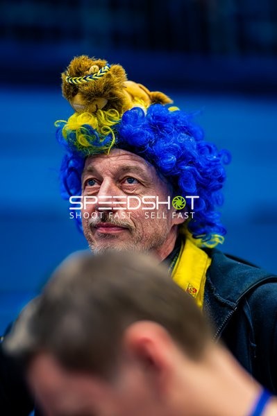 Ein Fan der Rhein-Neckar Löwen trägt eine blau-gelbe Perücke mit einem kleinen Löwen darauf.