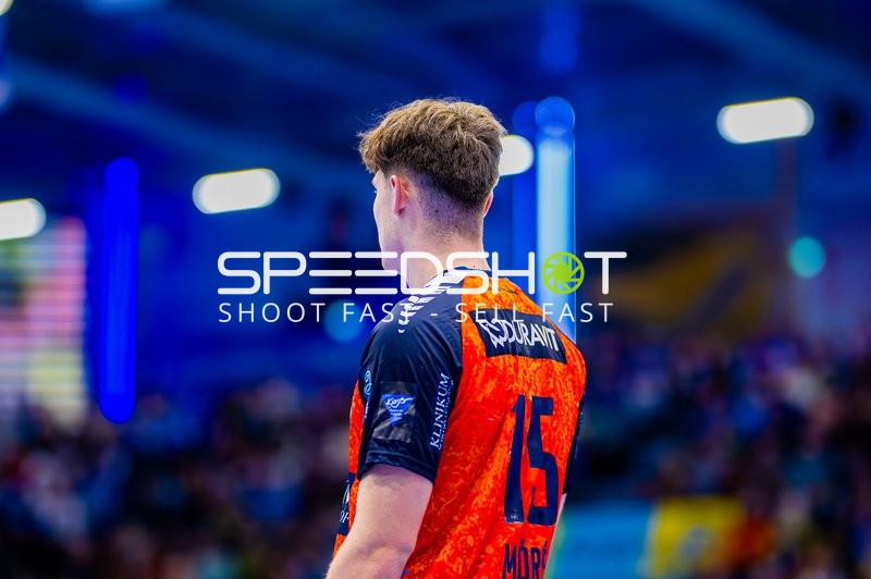 Spieler von Rhein-Neckar Löwen auf dem Feld