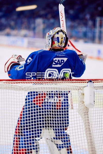 Adler Mannheim vs Straubing Tigers 14:00 Uhr