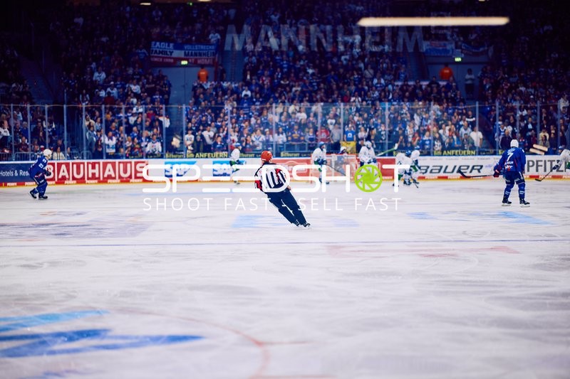Adler Mannheim vs Straubing Tigers 14:00 Uhr