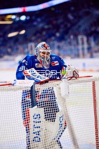 Adler Mannheim vs Straubing Tigers 14:00 Uhr