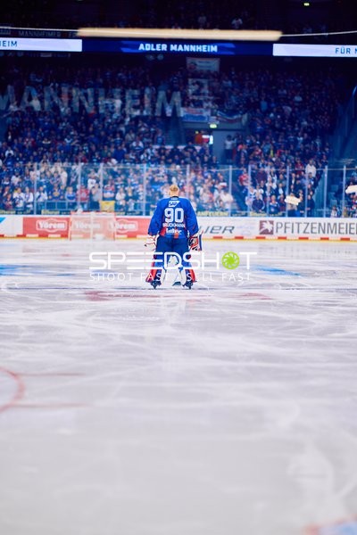 Adler Mannheim vs Straubing Tigers 14:00 Uhr