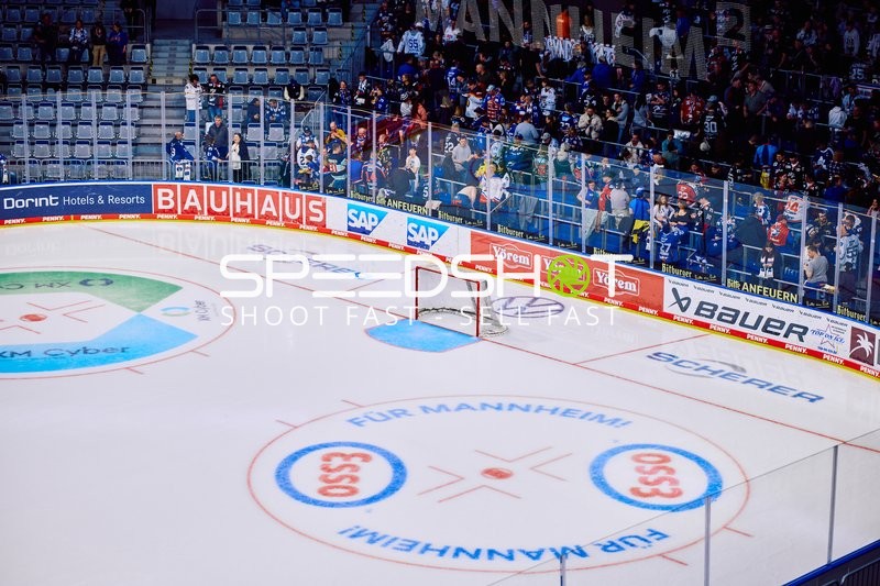 Adler Mannheim vs Straubing Tigers 14:00 Uhr