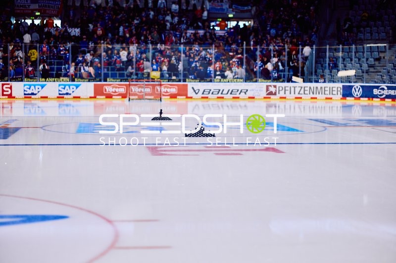 Adler Mannheim vs Straubing Tigers 14:00 Uhr
