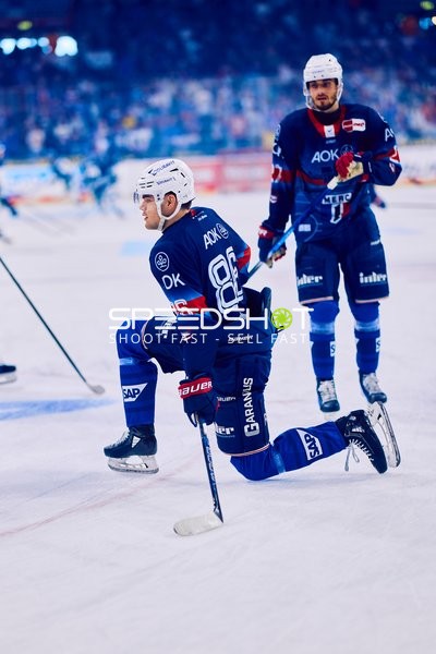 Adler Mannheim vs Straubing Tigers 14:00 Uhr