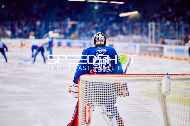 Adler Mannheim vs Straubing Tigers 14:00 Uhr