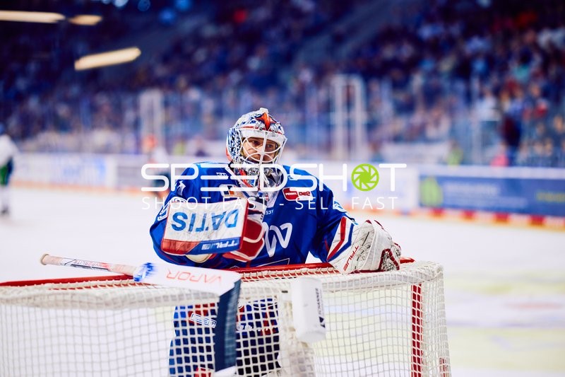 Adler Mannheim vs Straubing Tigers 14:00 Uhr