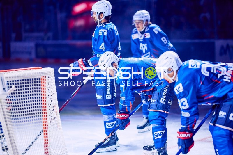 Adler Mannheim vs Straubing Tigers 14:00 Uhr