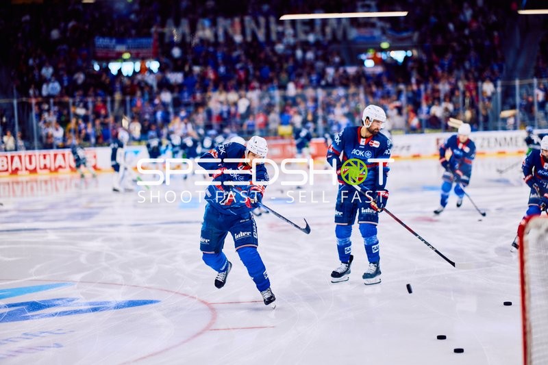 Adler Mannheim vs Straubing Tigers 14:00 Uhr