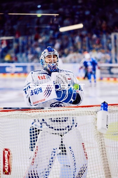 Adler Mannheim vs Straubing Tigers 14:00 Uhr