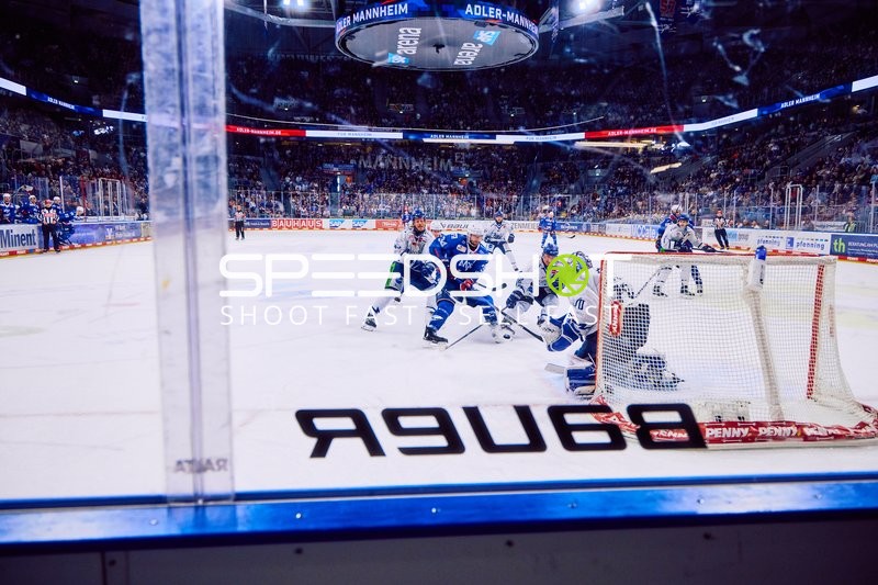 Adler Mannheim vs Straubing Tigers 14:00 Uhr