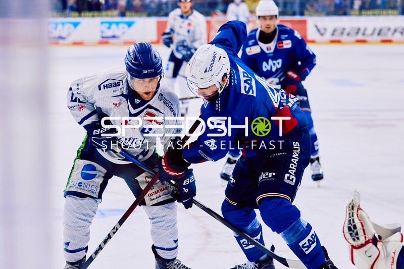 Adler Mannheim vs Straubing Tigers 14:00 Uhr