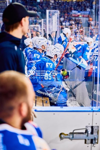 Adler Mannheim vs Straubing Tigers 14:00 Uhr